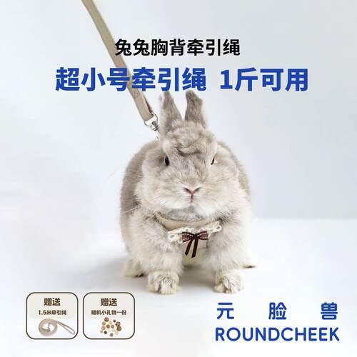 RoundCheek侏儒兔牵引绳幼兔幼猫小型宠物牵引绳溜兔绳1斤起适用