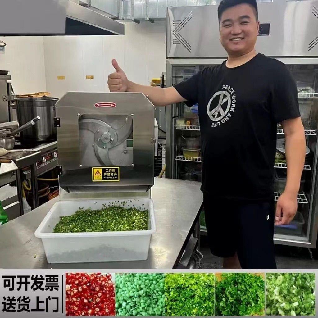 多功能切菜机商用食堂全自动韭菜酸菜葱花辣椒神器电动切片切厂家