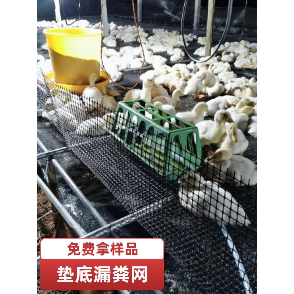 加厚塑料平网养殖垫底漏粪鸡鸭鹅垫脚鱼塘防护隔离围菜园家用养鸡