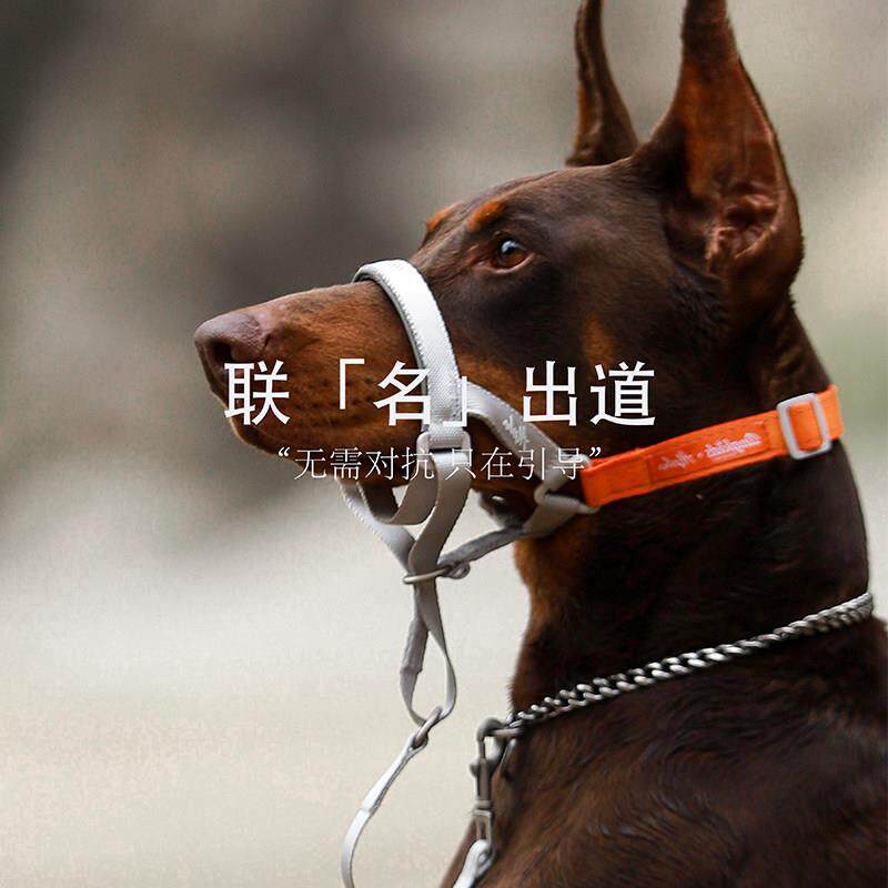 Dogkidsforever狗嘴套防咬人叫牢固乱吃可喝水泰迪小大型犬遛狗金