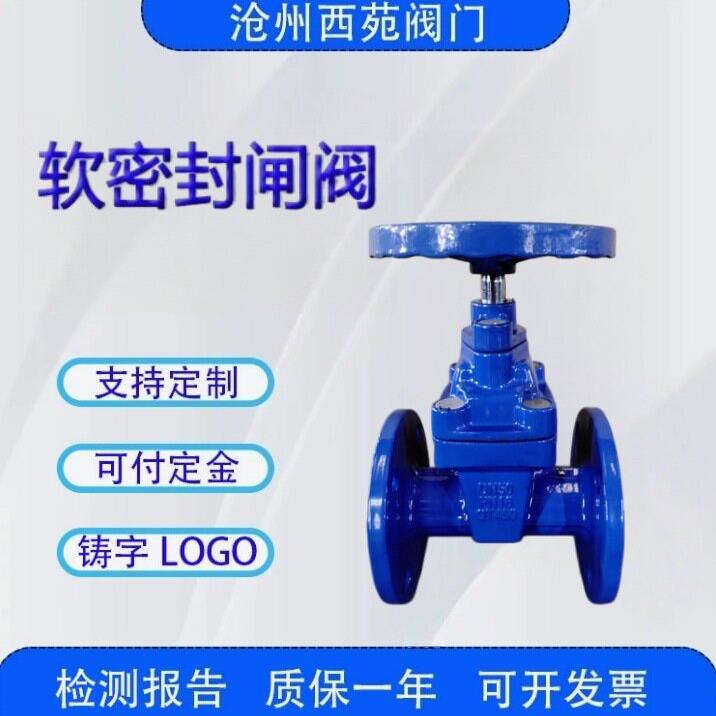 生产球墨铸铁阀门国标大体DN40软密封法兰闸阀Z45X西苑