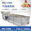 不锈钢洗果机 果酱加工前端设备 全自动瓜果蔬菜清洗流水线