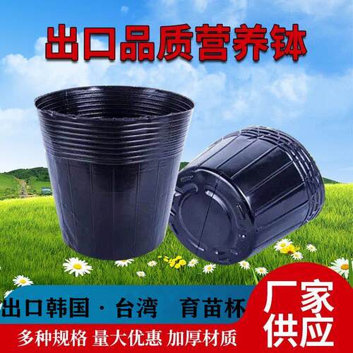 出口品质营养钵塑料育苗杯育苗袋不织布加厚花盆穴盘育苗盆