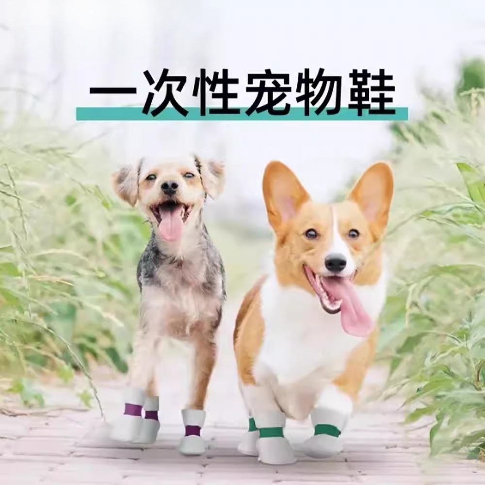 猫咪袜子防抓小猫穿脚套外出外穿