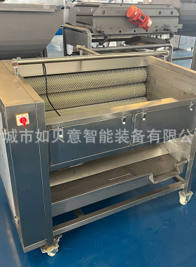 辣根连续式毛辊清洗机现货供应红凤凰落葵清洗机蕨菜毛辊清洗机
