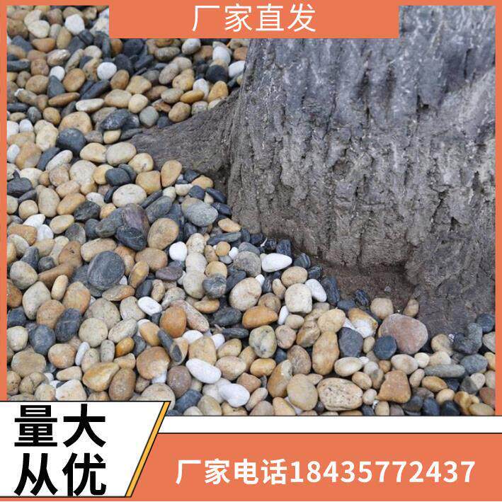 广西天然鹅卵石沼泽过滤石头地暖找平回填专用豆石水洗滤料水处理