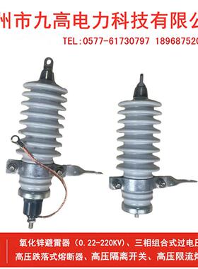 10KV户外高压氧化锌避雷器Y5WS-17/50/45 10KV户内陶瓷高压避雷器