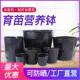 营养钵育苗盆营养袋营养杯育苗种植穴盆育苗杯一次性加厚塑料穴盘