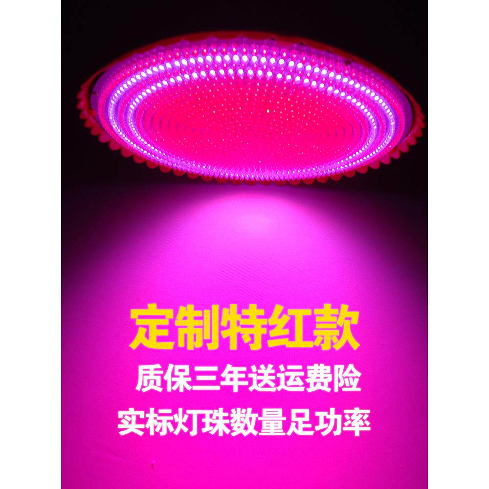 非新国标特红LED生鲜灯猪肉水果冷鲜肉卖肉市场超市专用1248珠