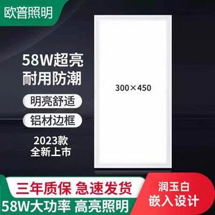 顶配照明300x450集成吊顶灯LED厨卫灯30x45厨房灯铝扣板嵌入式