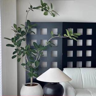 孟加拉榕客厅绿植大型盆栽造型高山榕办公室内植物室室外橡皮树