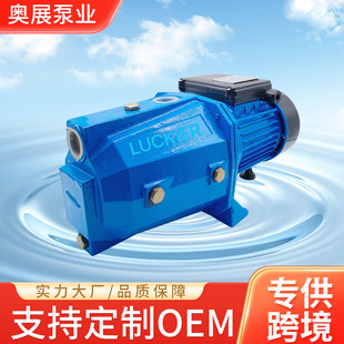 跨境供应家用清水离心泵JET 100P不锈钢自来水增压泵 100L JET