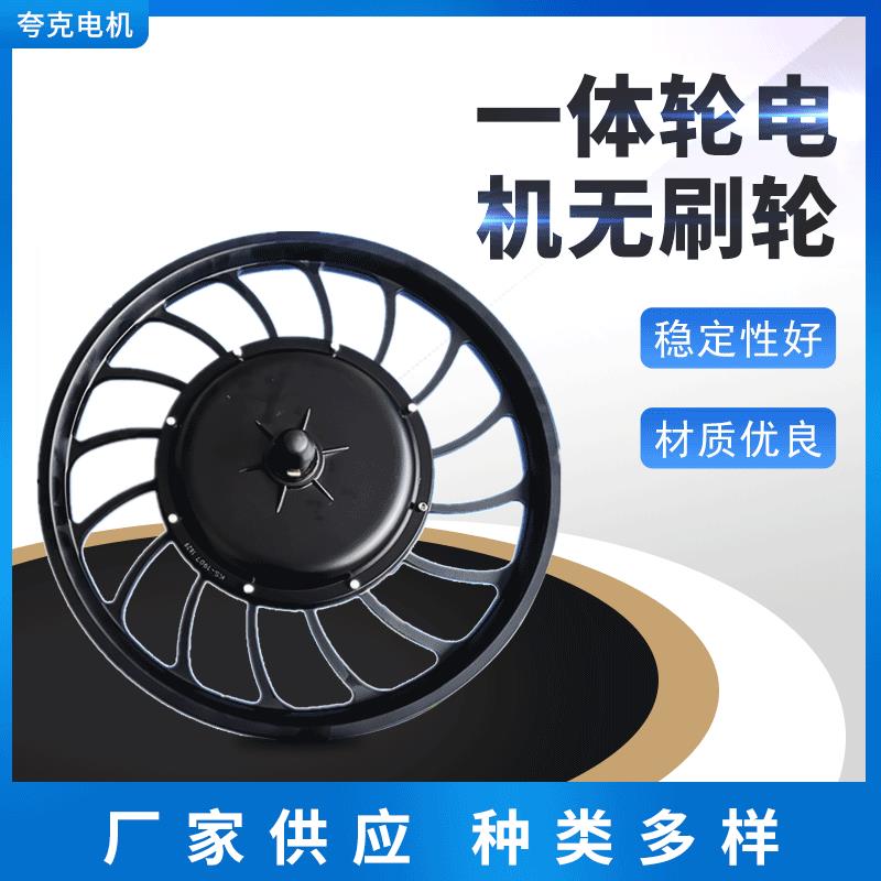 厂家供应1000W20寸一体轮电机永磁无刷轮毂电机电动车电机