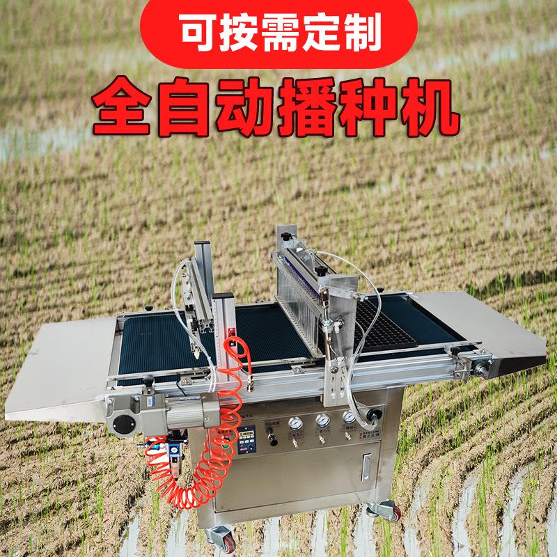 全自动漂盘育苗一体机自动光电感应检测系统播种机花卉种子培育机