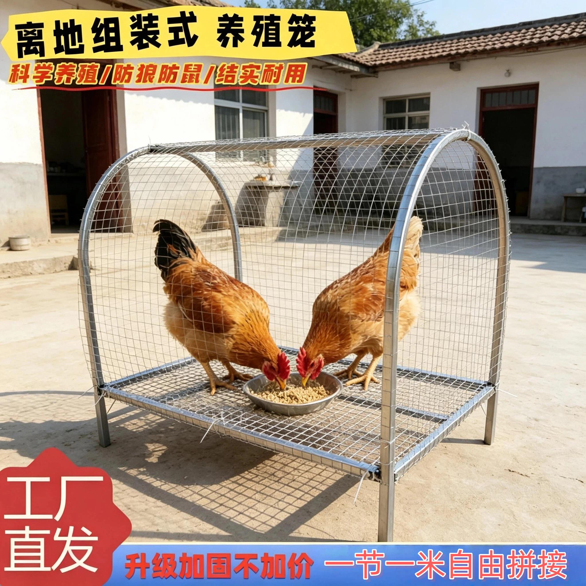 跑鸡笼家禽兔笼铁丝鸡舍塑料围栏铁笼铁网笼搭建兔子铁丝网鸡笼养