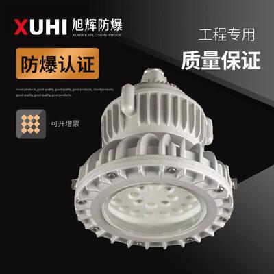 XHD610免维护LED防爆灯20W30W40W50W60W防爆照明灯 防爆led灯直供