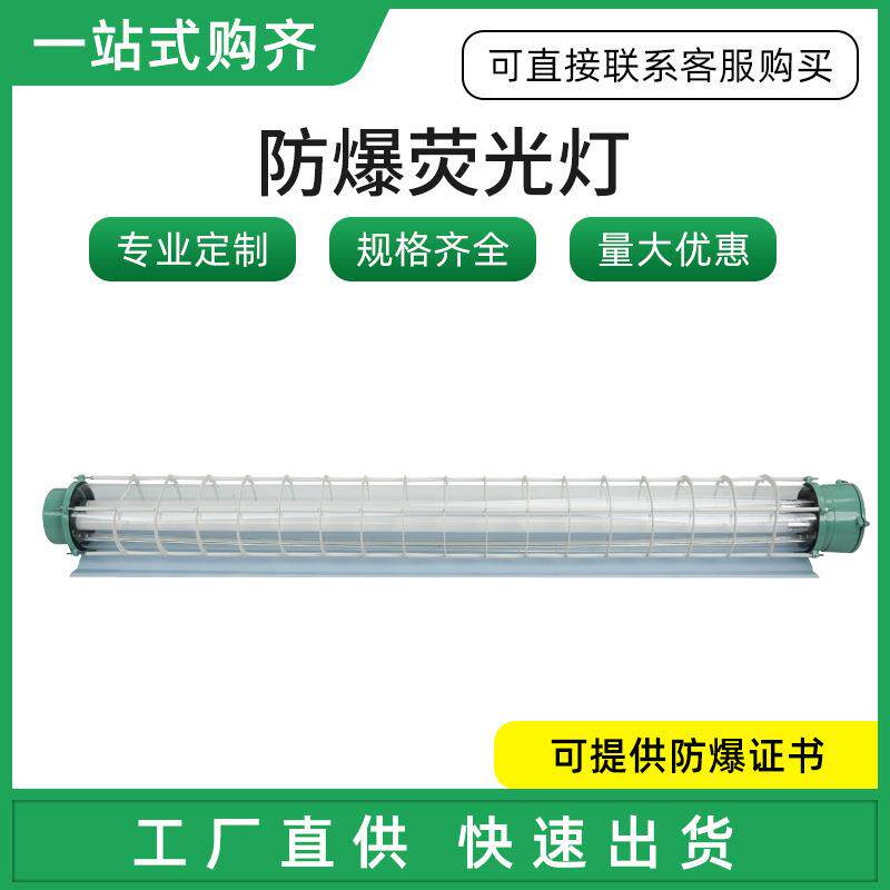 厂家直供LED防爆荧光灯单管双管带防护网罩1.2米密封应急荧光灯