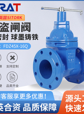 FDZ45X-16Q防盗表前闸阀软密封球磨铸铁RVXP机械手柄内六角锁闭阀