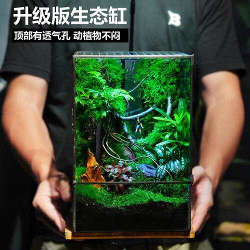 植悟创意桌面苔藓微景观雨林缸生态缸乌龟螃蟹水陆盆栽爬宠饲养缸