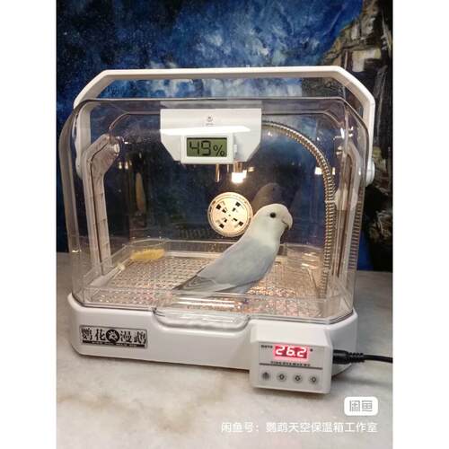鹦鹉育雏箱 风暖保温箱 恒温箱