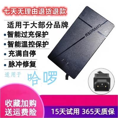 哈啰新国标小公插电动电瓶车铅酸蓄电池智能充电器48V60V72伏适用