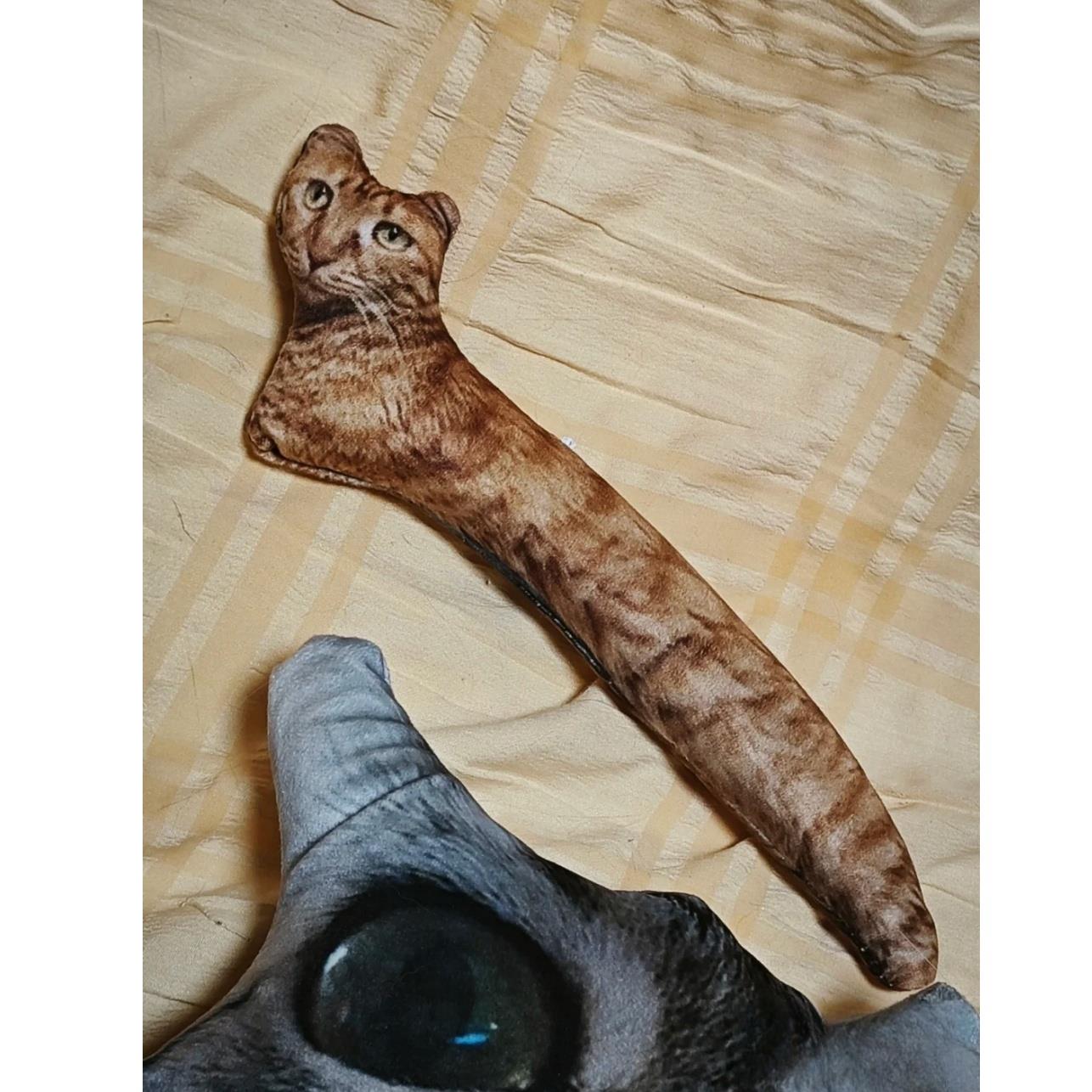 丑猫抱枕玩偶定制无白边猫咪无描边宠物照片diy来图定做异形靠枕