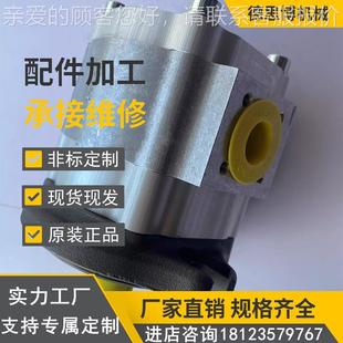 A23 ECKERLE艾可勒内啮合齿轮泵EPC52100RAWFZ23 1I5R EIPC6