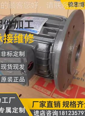 CYUN 群TSEH 策S3.YYTD C7B-4B0油压专用HSWGH卧式长嘴型电机