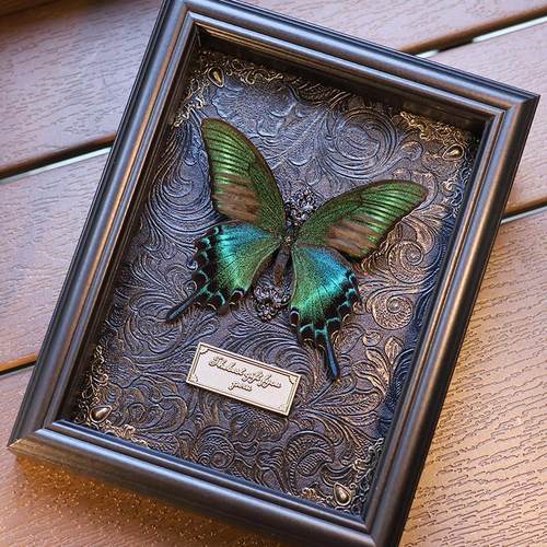 真蝴蝶标本相框装饰摆件挂画教师节高级感生日礼物送男女友老师