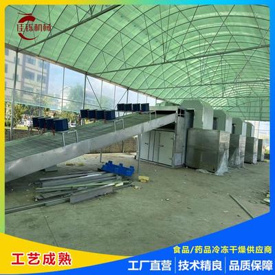 蒜苗空气能热泵烘干机大蒜连续式网带烘干线青菜黄姜热风循环烘箱