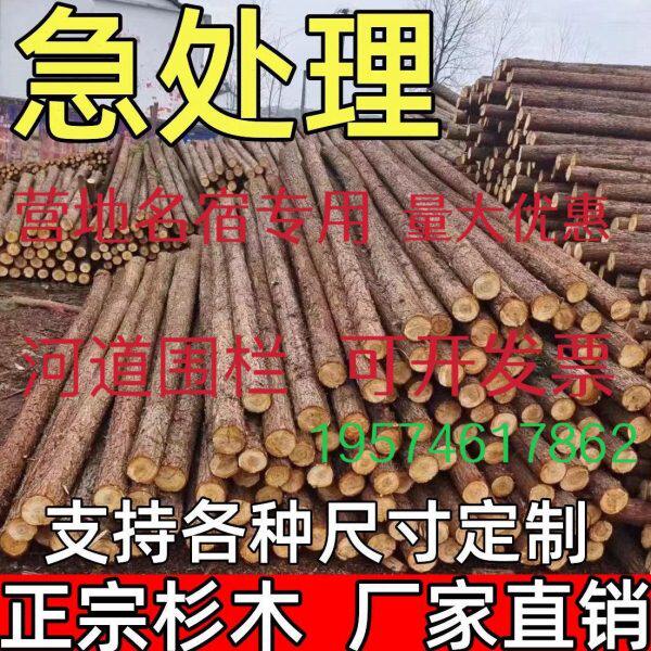 定制杉木桩户外河道工程驳岸桩菜园围栏桩园林绿化树木支撑杆