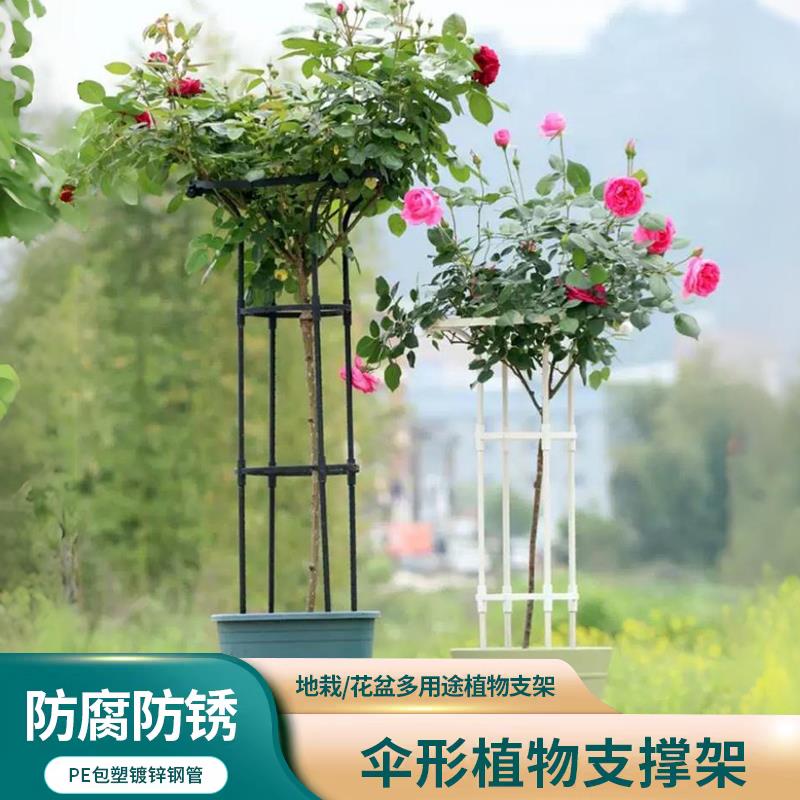 伞形爬藤花架支伸缩杆户外庭院铁艺不锈钢管置物架室外花园植物架