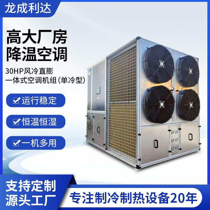 30HP单冷型风冷直膨一体式空调机组工业厂房实验室净化全新风空调