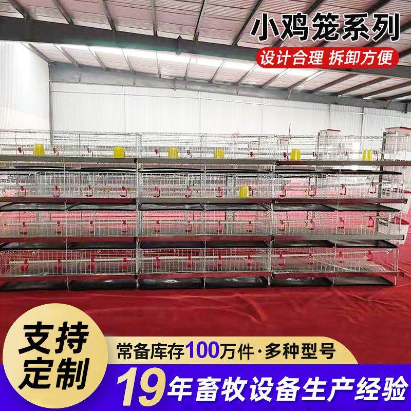加密肉鸡育雏笼小鸡笼青年鸡笼4层育雏笼一体笼热镀锌养鸡设备,农机/农具/农膜,农用防护器具,淘宝优惠券,粉丝福利购,淘宝优惠卷