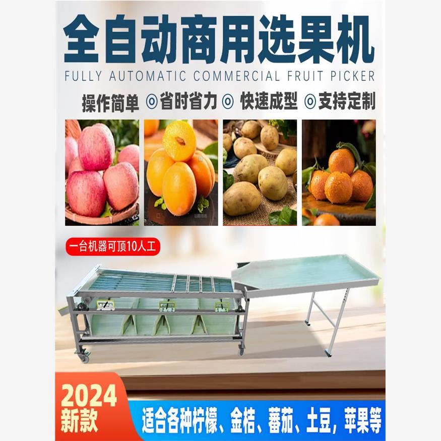 全自动商用轨道式选果机槟郎分选机橙子小枣核桃分选机土豆圣厂家
