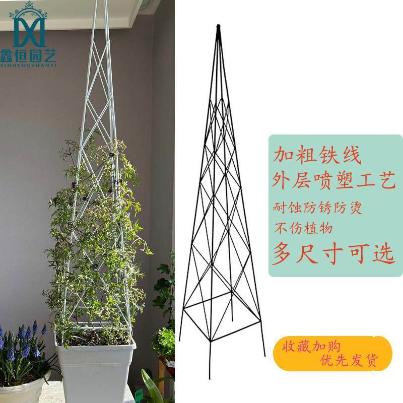 鑫恒园艺阳台尖塔形铁艺爬藤架花架园艺铁线莲藤本月季玫瑰花支架,鲜花速递/花卉仿真/绿植园艺,花架,淘宝优惠券,粉丝福利购,淘宝优惠卷