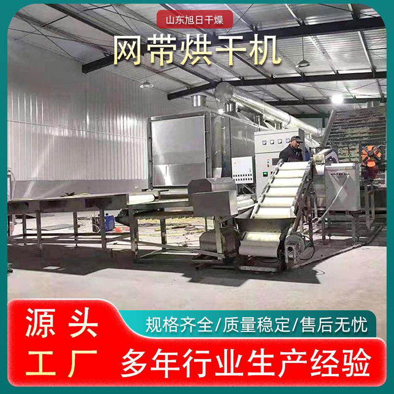 网带式柿饼果脯水果干连续式干燥机迷迭香菊花葡萄干烘干机设备