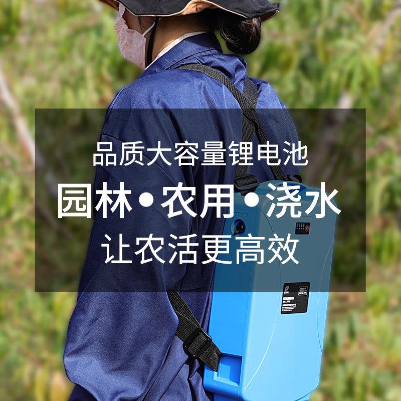 硬派锂电池割草机绿篱机电瓶12V24v48v充电式锂电池便携电池园林