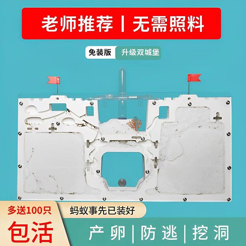蚂蚁城堡超大型蚂蚁生态箱送蚁后学生观察繁殖版宠物蚁巢蚂蚁工坊