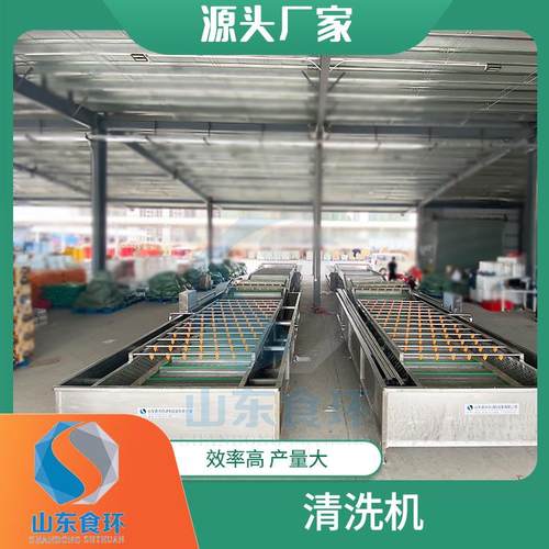 全自动大枣气泡清洗机果蔬清洗机蔬菜喷淋式清洗设备厂家直销