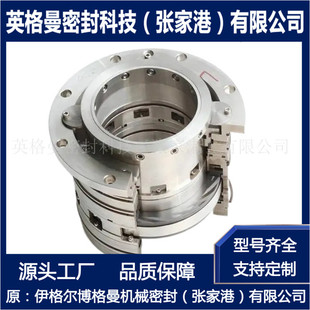 210 PDGS10 ZT31 可选型设计 A14干气密封 泵用双端面干气密封