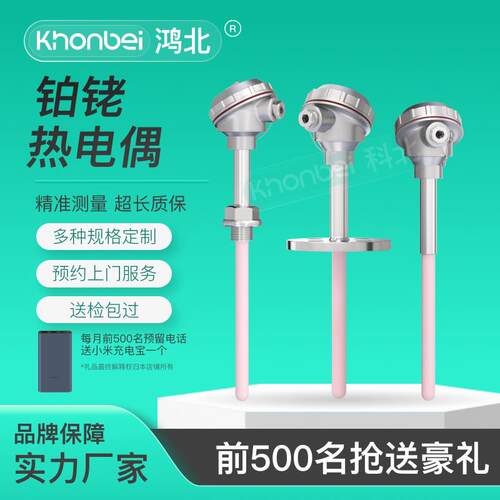 鸿北S型铂铑热电偶0-1600℃耐高温刚玉管陶瓷管温度传感器B型/R型