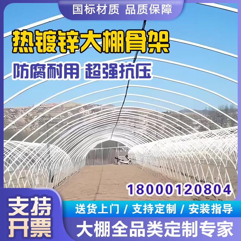 新型养殖大棚钢管骨架全套温室蔬菜支架拱杆猪牛羊鸡鸭鹅搭建设备