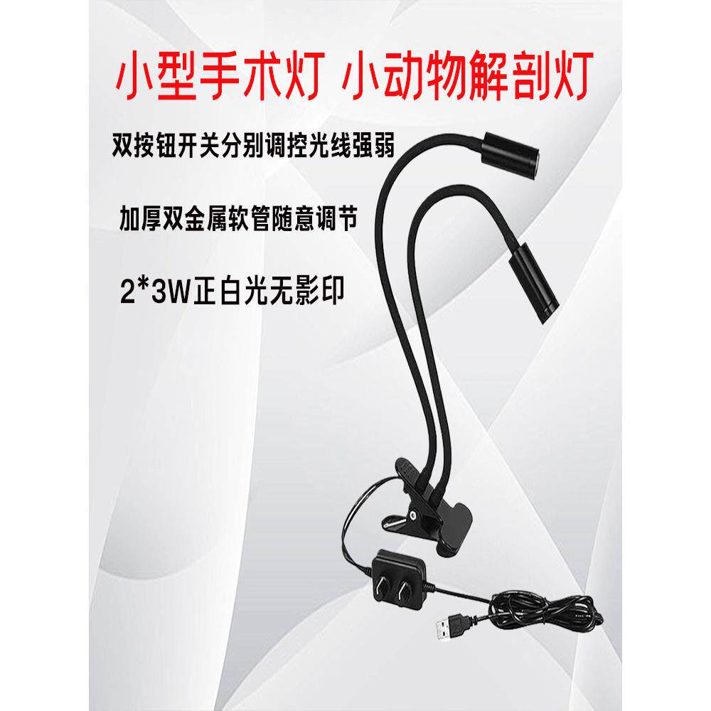 小型手术灯医院用聚光灯妇科检查灯小鼠动物实验室台灯射灯夹式