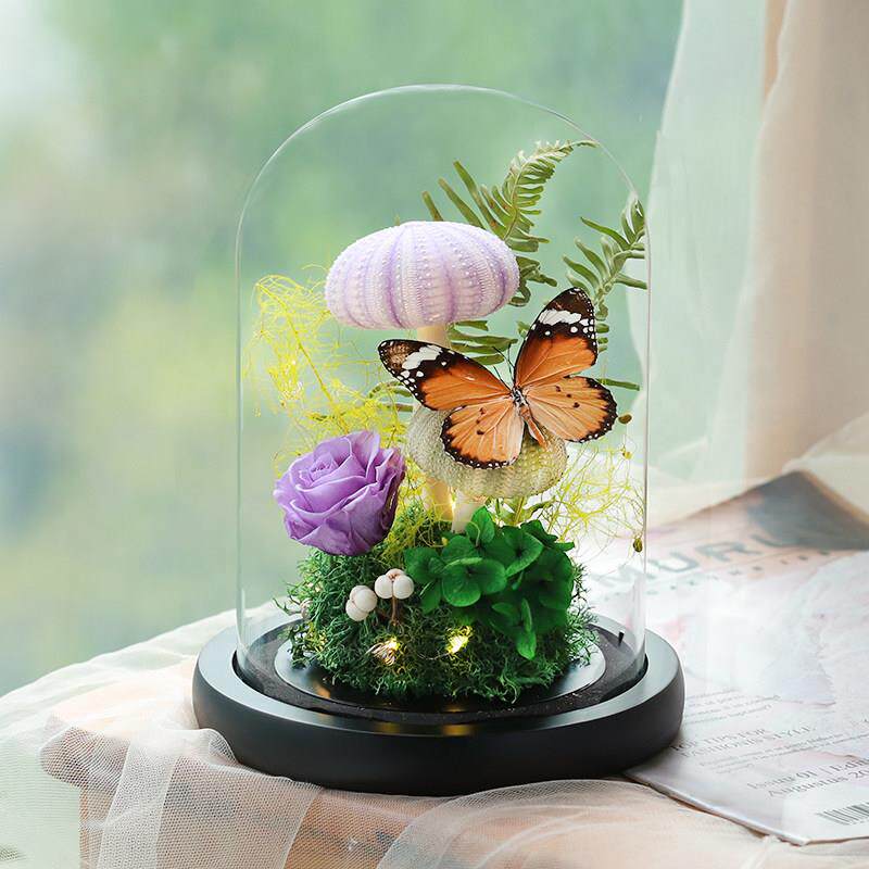 蝴蝶标本植物干燥花真花玻璃罩摆件昆虫家居生日礼物永生花送男生