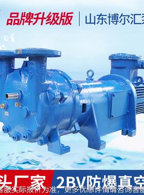 2BV61气11空防爆真泵5.5kw水环式真泵空抽泵制药985设备配套真空