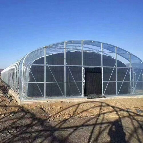 出 口美国农业温室大棚 greenhouses美标风机种植架 育苗结构房