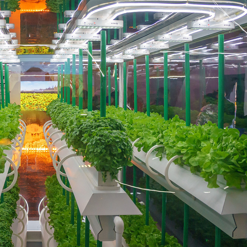 创农科技无土栽培植物工厂水培农业设备技术蔬菜大棚育苗工厂定制