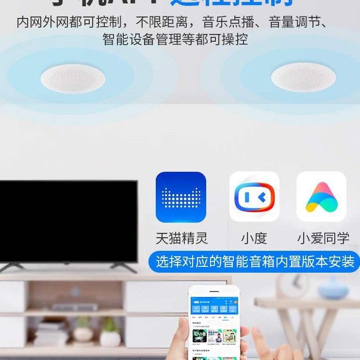 德国柏林之声音效无线蓝牙吸顶喇叭环绕天花吊顶智能家居音响套装