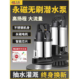 农用灌溉抽水泵机 无刷直流潜水泵12V24V48V60V72V伏电动车电瓶式